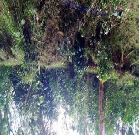 J R Venkataramu, Karnataka